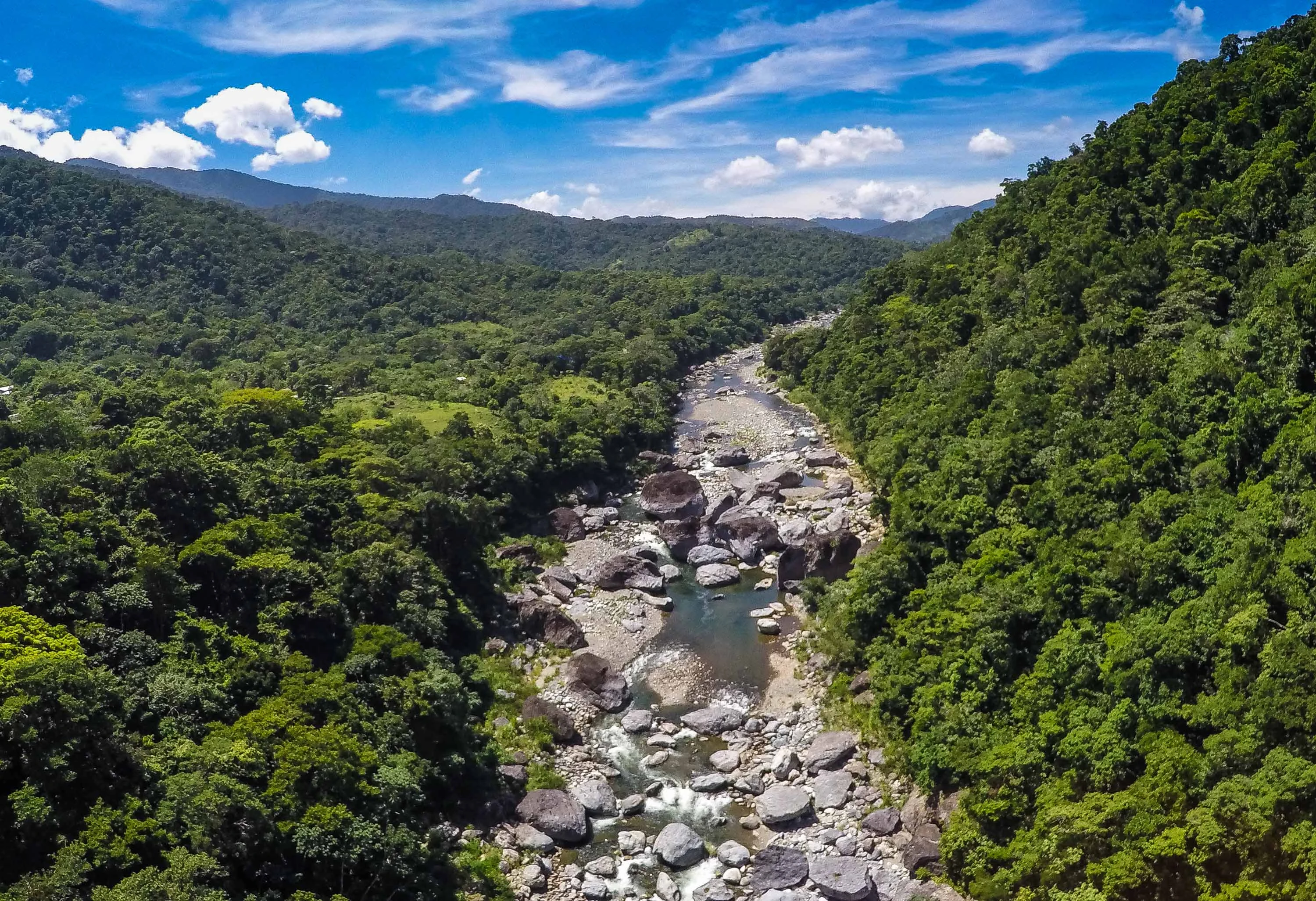 Río y selva del Parque Nacional Pico Bonito